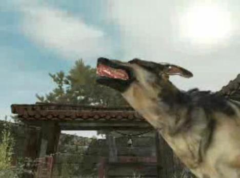 Oh my GOD! Nazi dog...run!